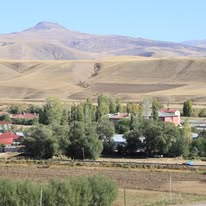 Kargın